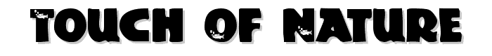 Touch Of Nature font